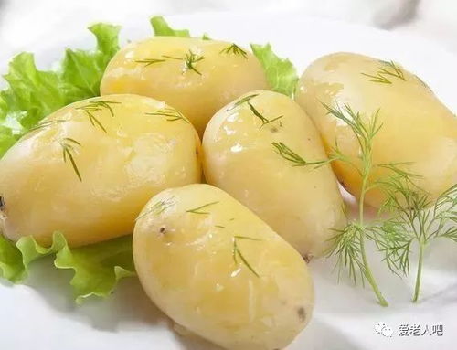 一顆馬鈴薯的養生奇蹟 改變你對土蔬的舊印象